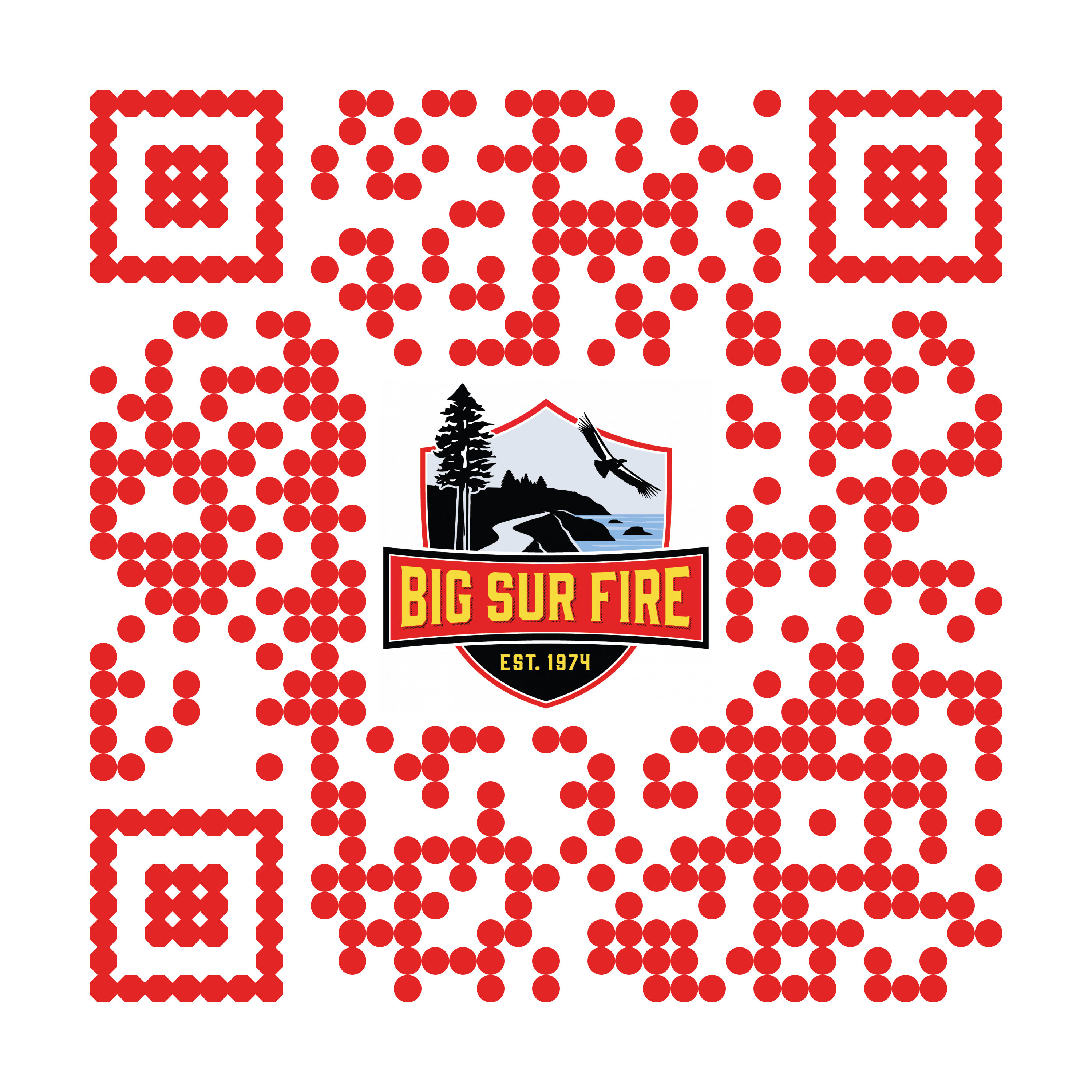 Zone 1 QR White